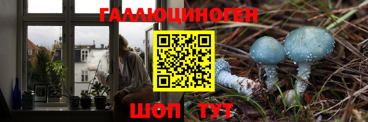 Галлюциногенные грибы GOLDEN TEACHER  Вход с VPN  Галлюциногенные грибы Magic Shrooms  Тула 